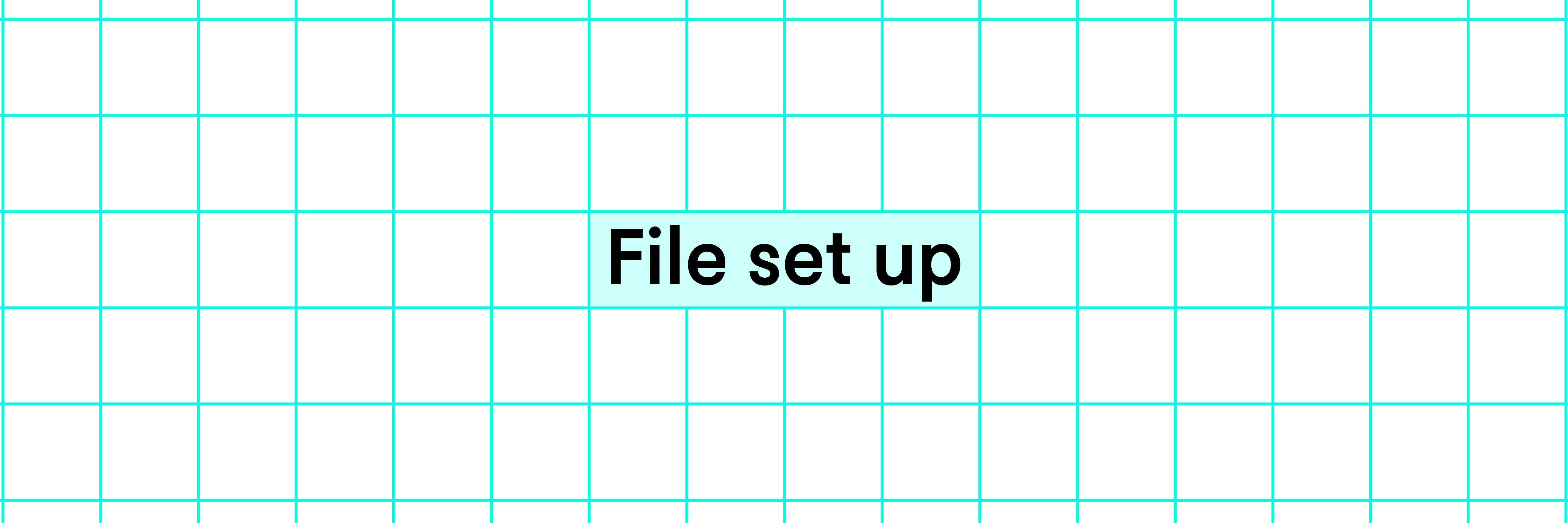 File setup